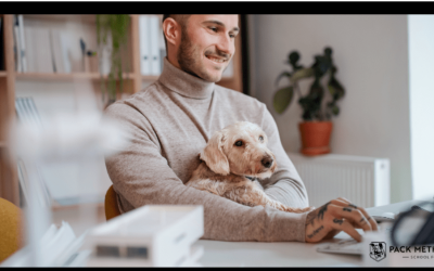 Thriving at Home: How to Work Effectively with Your Canine Companion