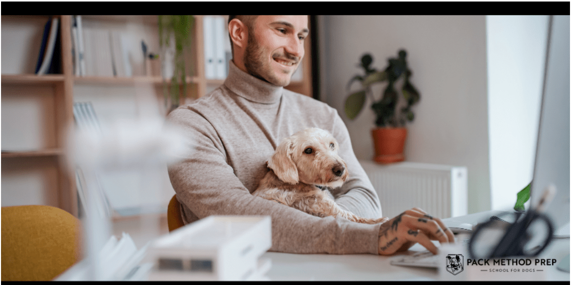 Working from Home with Your Dog