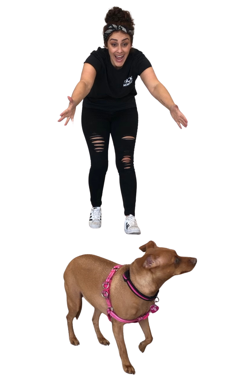 How to Bond with a Scared Dog Pack Method Prep